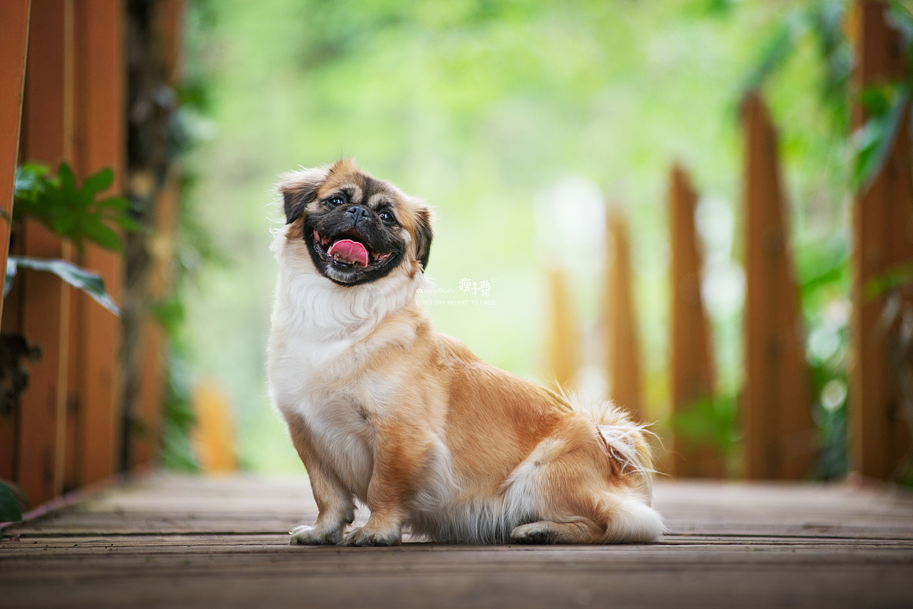 大的帅气,小的可爱!