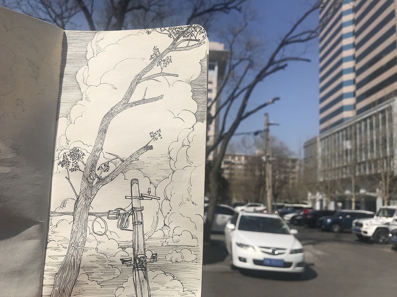 最近的一些速写