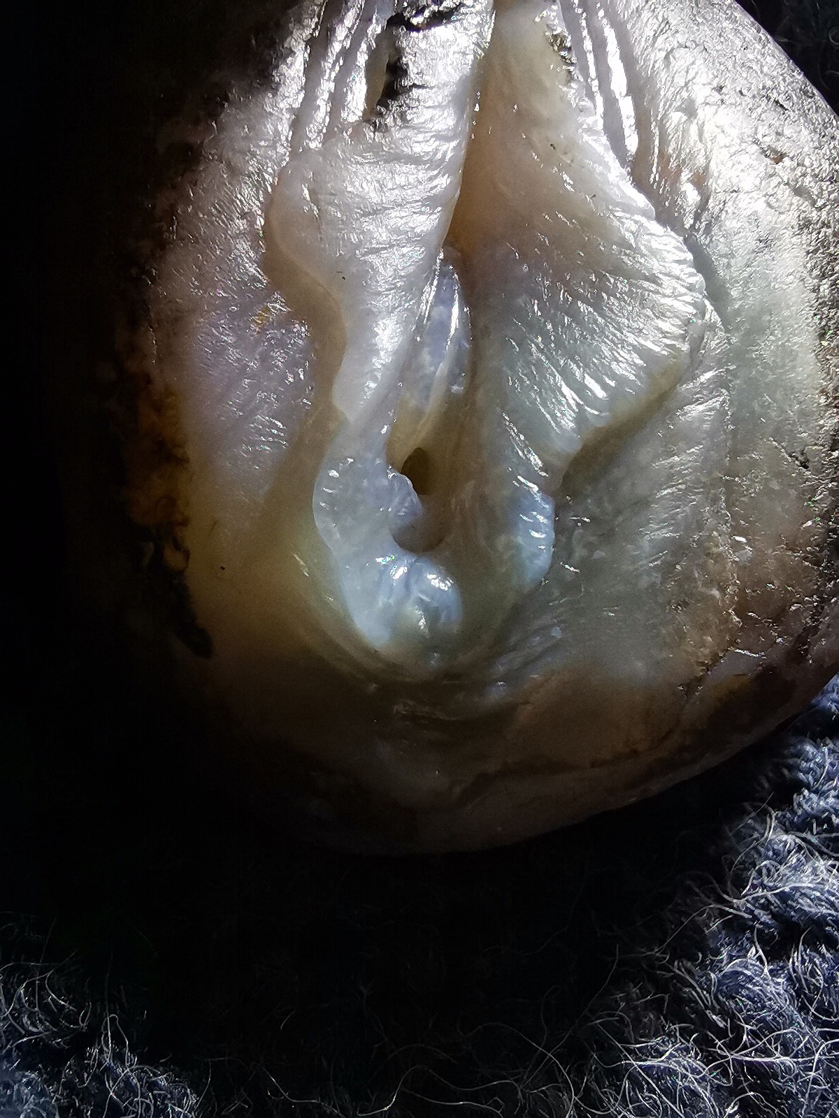 玛瑙生命之源女人花俏色巧雕写实玉雕设计象原玉雕作品