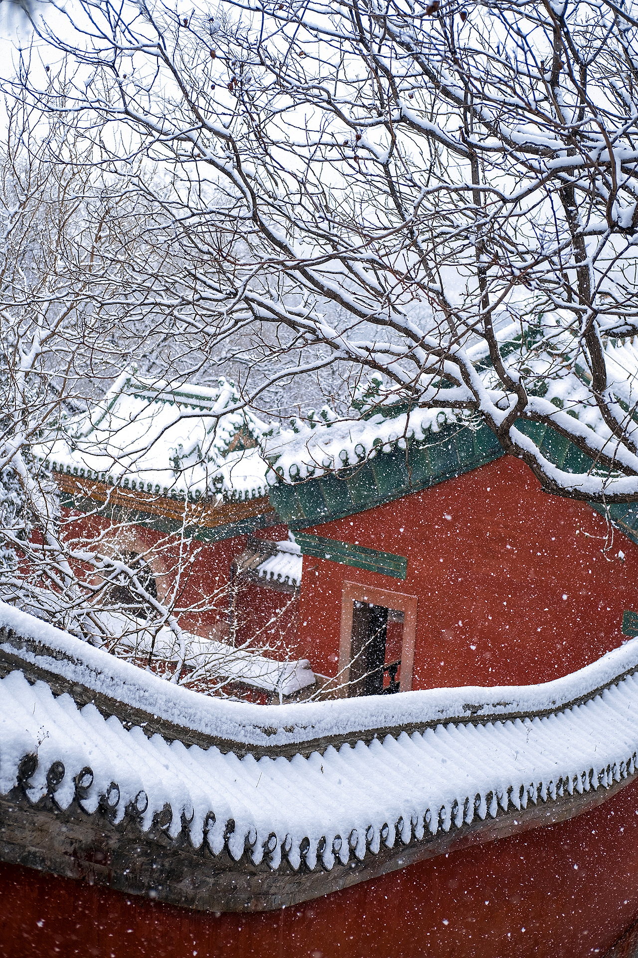 倒春寒 红墙白雪似乎一直是绝配（图ZMjkzMzY5OTg0） - 风光摄影 - 站酷设计师Vincent_Song原创素材 - 站酷ZCOOL