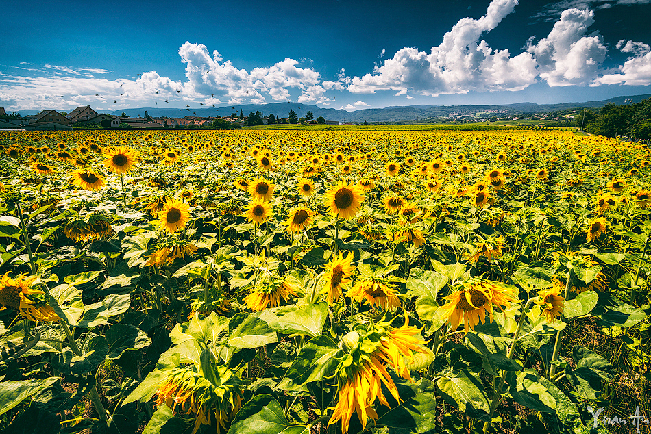 夏之瑞士#出发的勇气2014#（图ZMTkyOTEzMTI=） - 风光摄影 - 站酷设计师安一然Roger原创素材 - 站酷ZCOOL