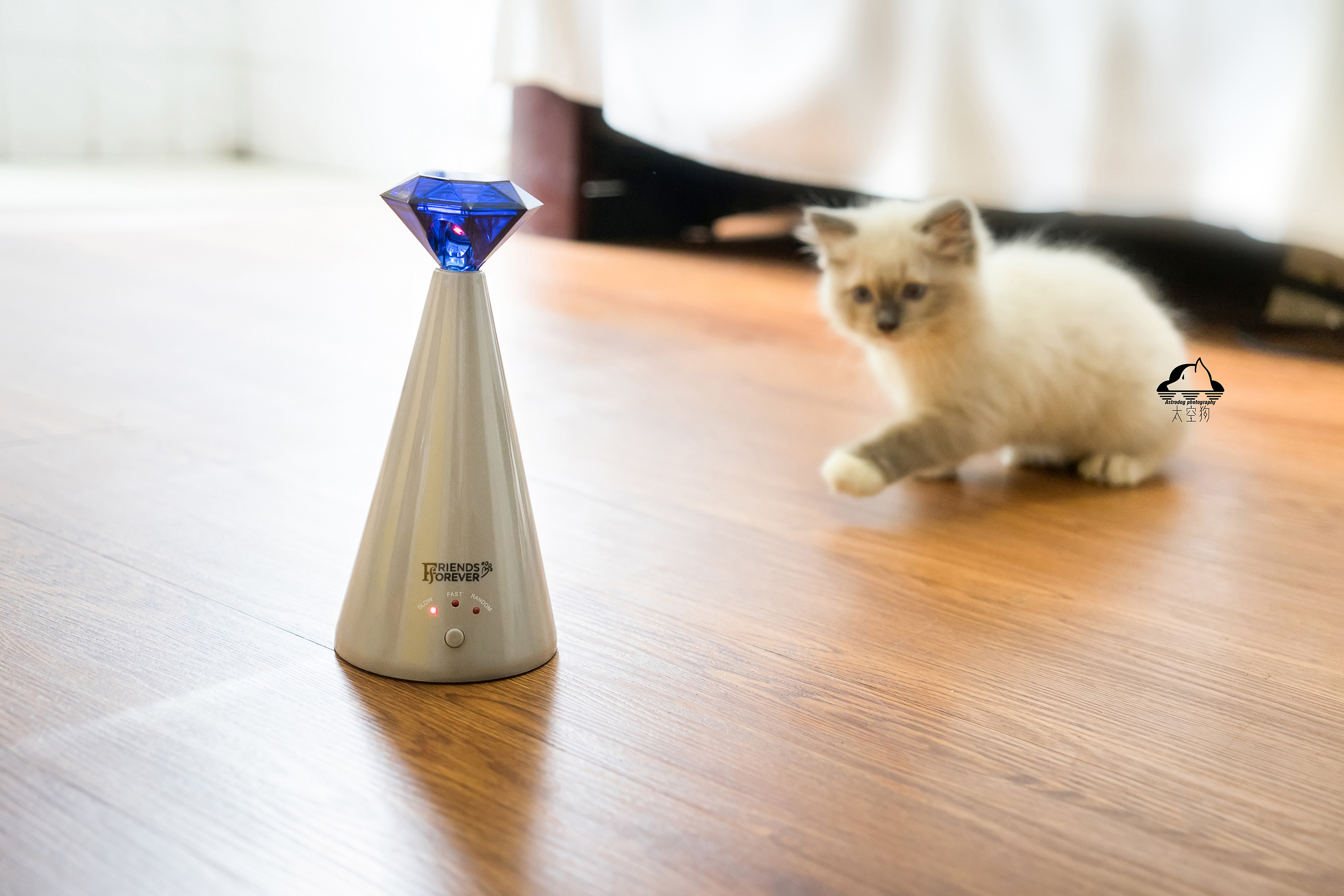 宠物产品拍摄 美亚在售智能猫钻石激光塔玩具