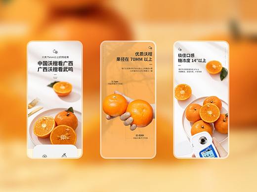 沃柑详情页设计