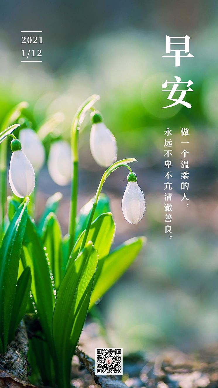 早安 励志 正能量（图ZMjM5MzU1NTQw） - 海报 - 站酷设计师早安微刊原创素材 - 站酷ZCOOL