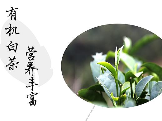 茶X展架（个人主页-ZMzExNzc3ODA=） - 其他平面 - 站酷设计师JiaXk原创素材 - 站酷ZCOOL