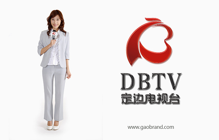 定边电视台LOGO设计_定边电视台VI设计_郑州高邦设计