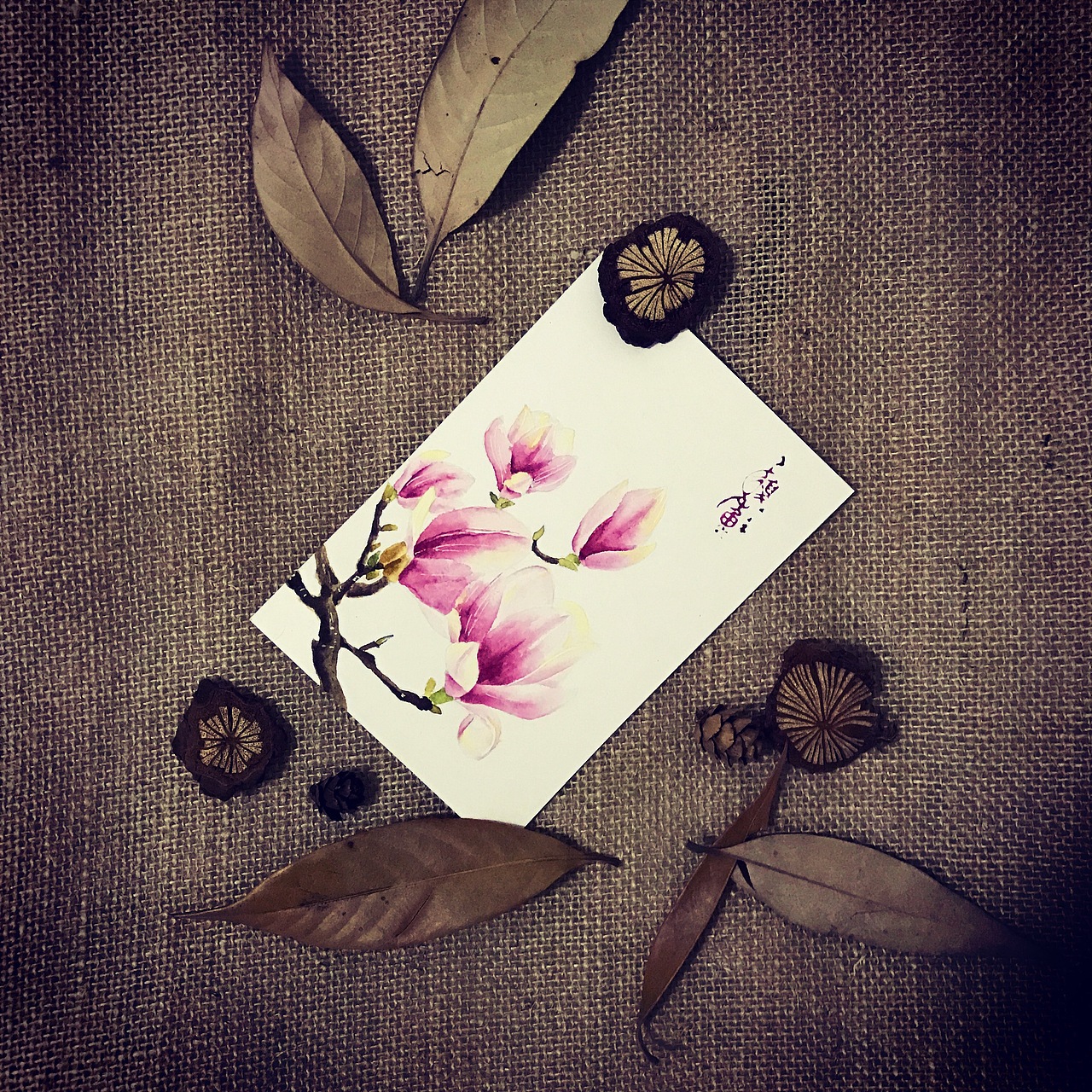 一些水彩练习小稿