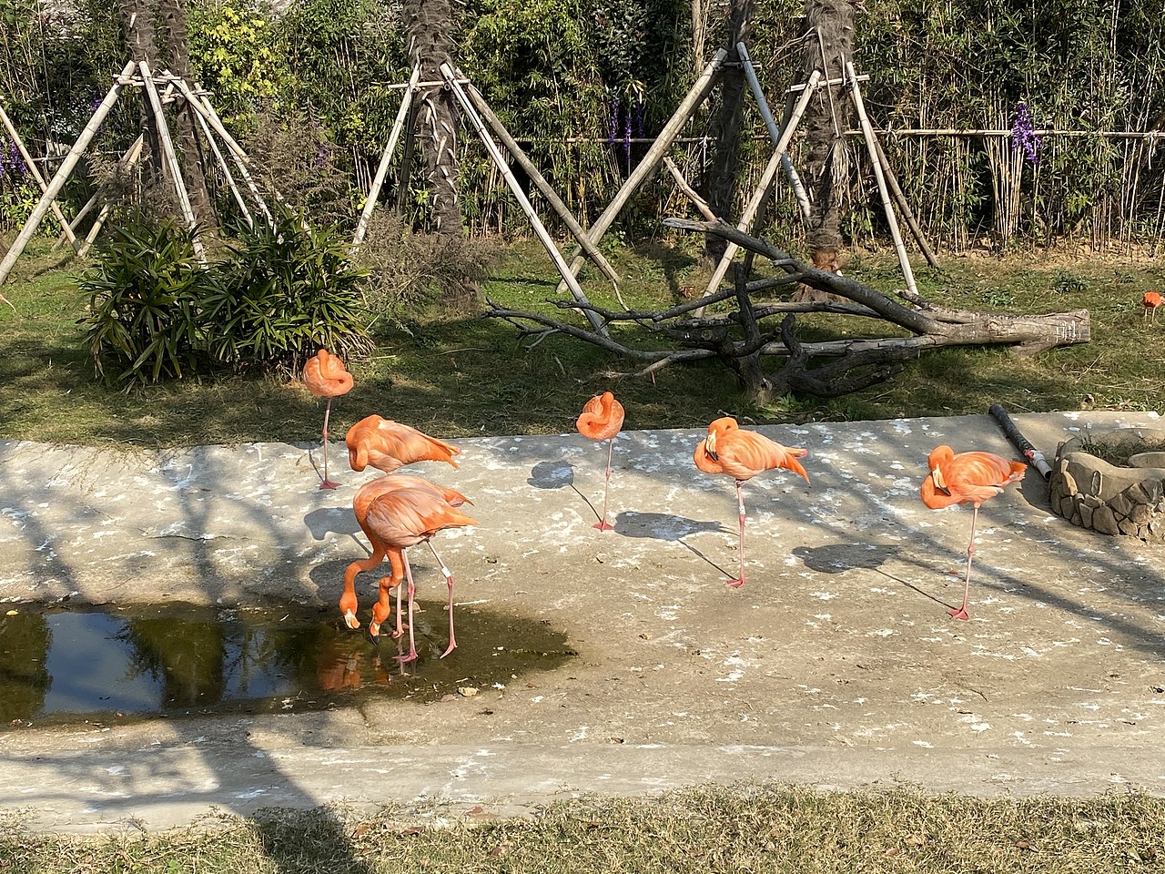 动物园里有什么