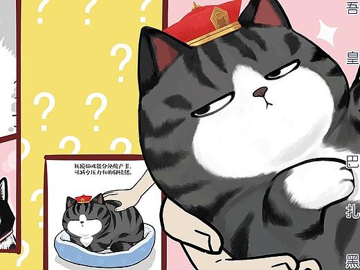 养猫，养狗，养儿，养哪个最好？