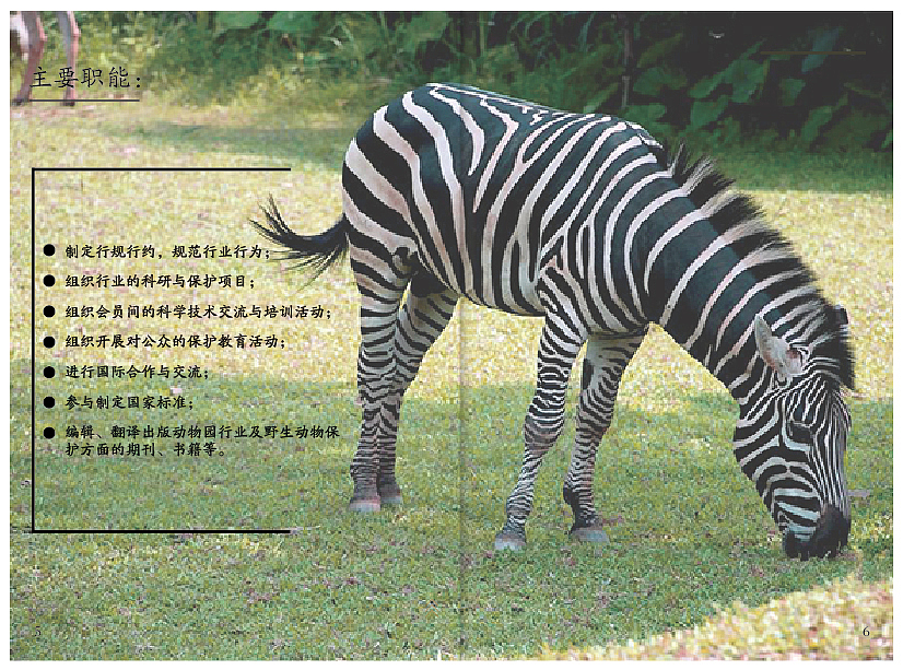 画册（图ZMTgwMTU3Mzcy） - 书籍/画册 - 站酷设计师cl青晓原创素材 - 站酷ZCOOL