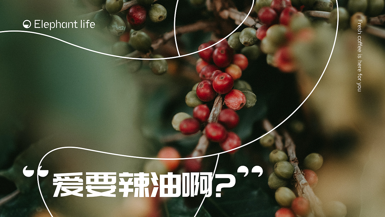 大象咖啡·Logo再造与包装（图ZMjg0MzQwMTcy） - 包装 - 站酷设计师默之Lowught原创素材 - 站酷ZCOOL