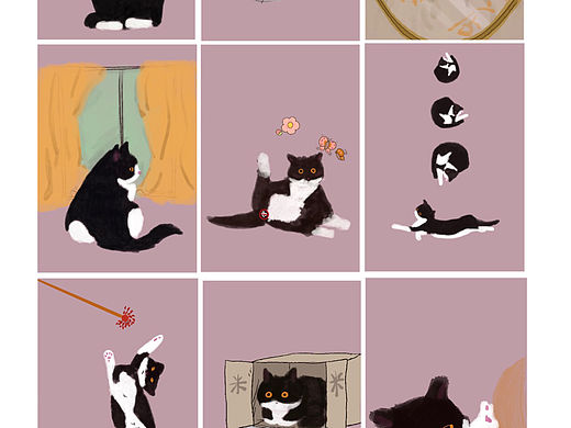 100天自学插画🔥/02/2023猫猫原创插画日历篇