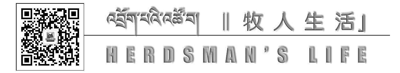 HERDSMAN’S LIFE || 牧人生活」