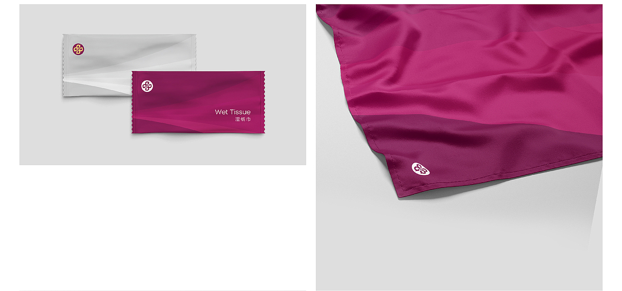 蒙古“凤鸟”重返天空——北方快线通用航空品牌升级