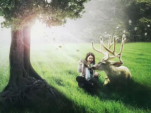 合成梦幻场景