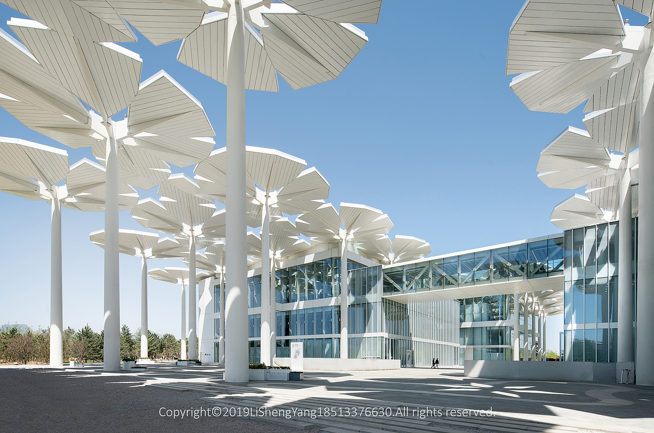 2019北京世园会国际馆「建筑空间摄影」 摄影:李胜阳