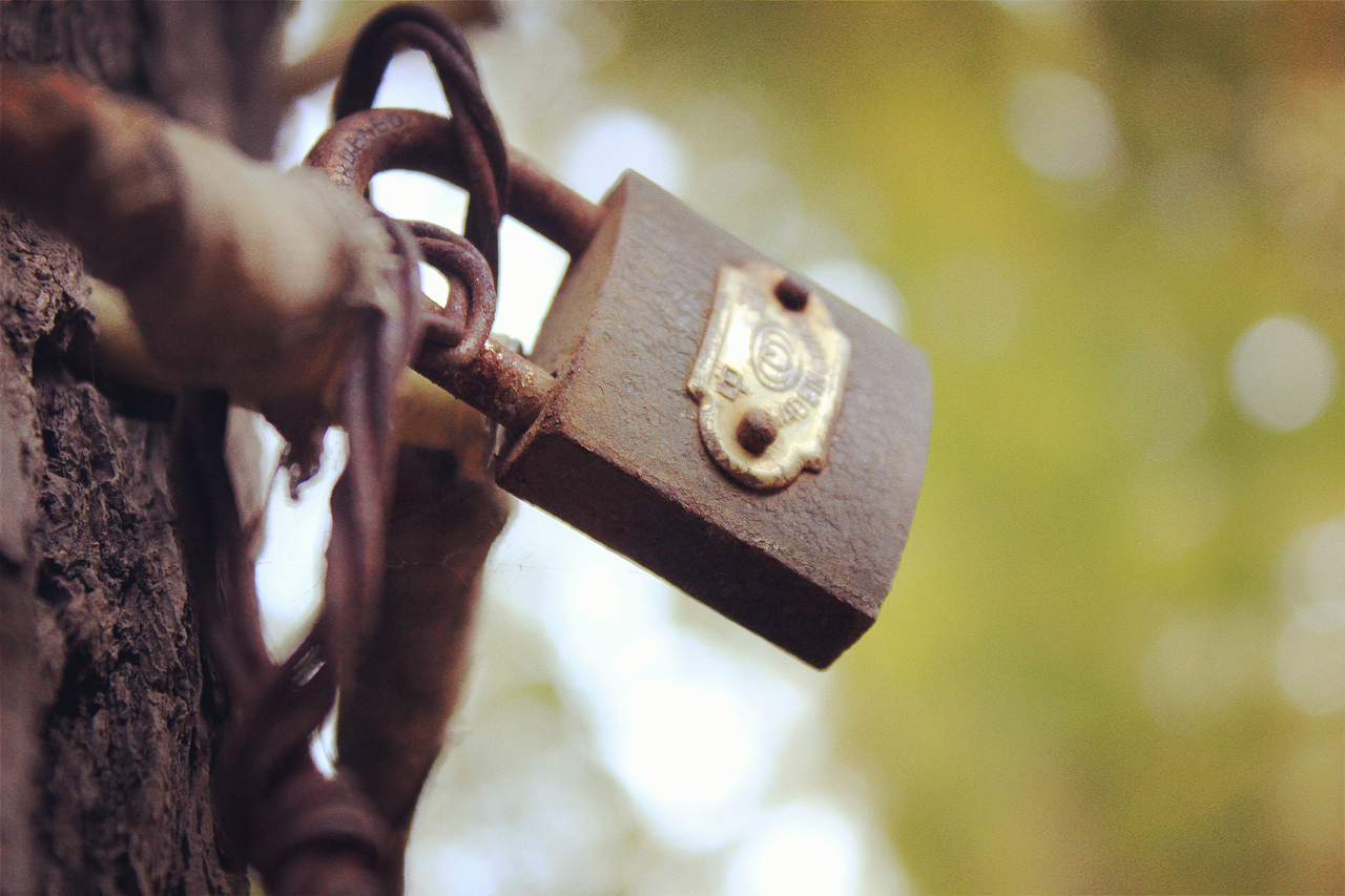 银杏大道 锁 清 秋（图ZNjE3NTI4MjA=） - 风光摄影 - 站酷设计师Jauver原创素材 - 站酷ZCOOL