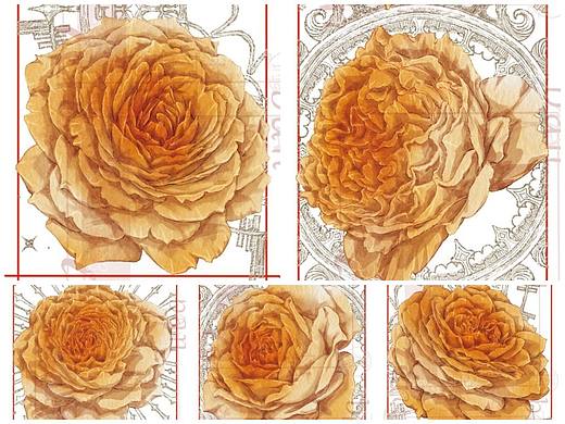 阳光古董和纸胶带