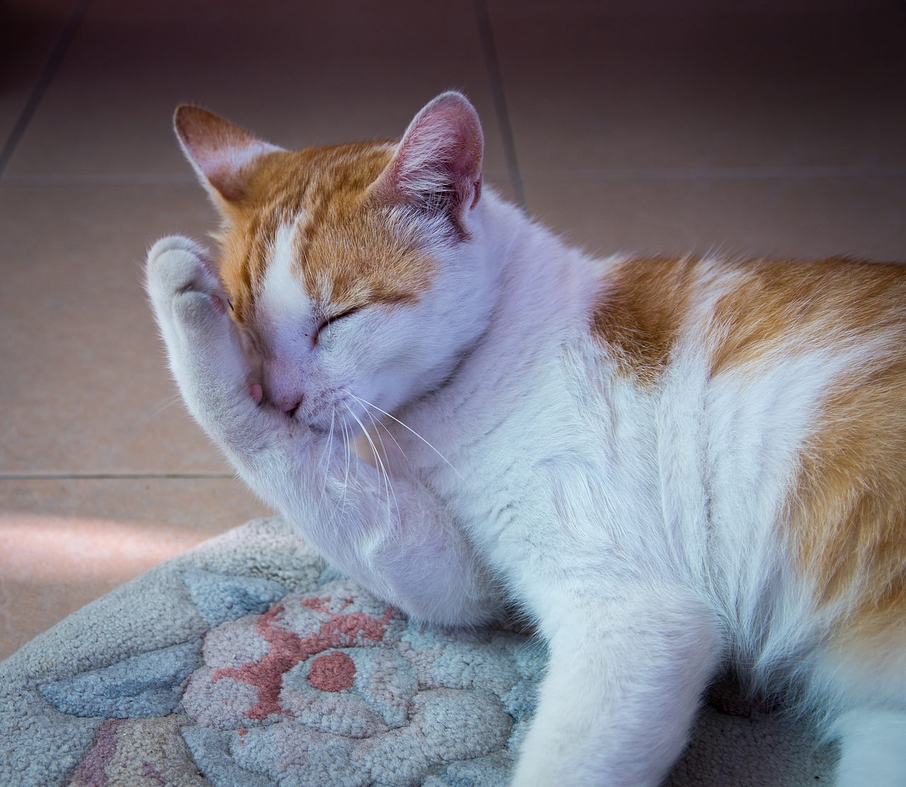 纵贯台湾的旅行#出发的勇气2014#