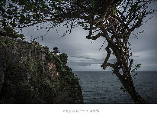 印尼巴厘岛情人崖的猴