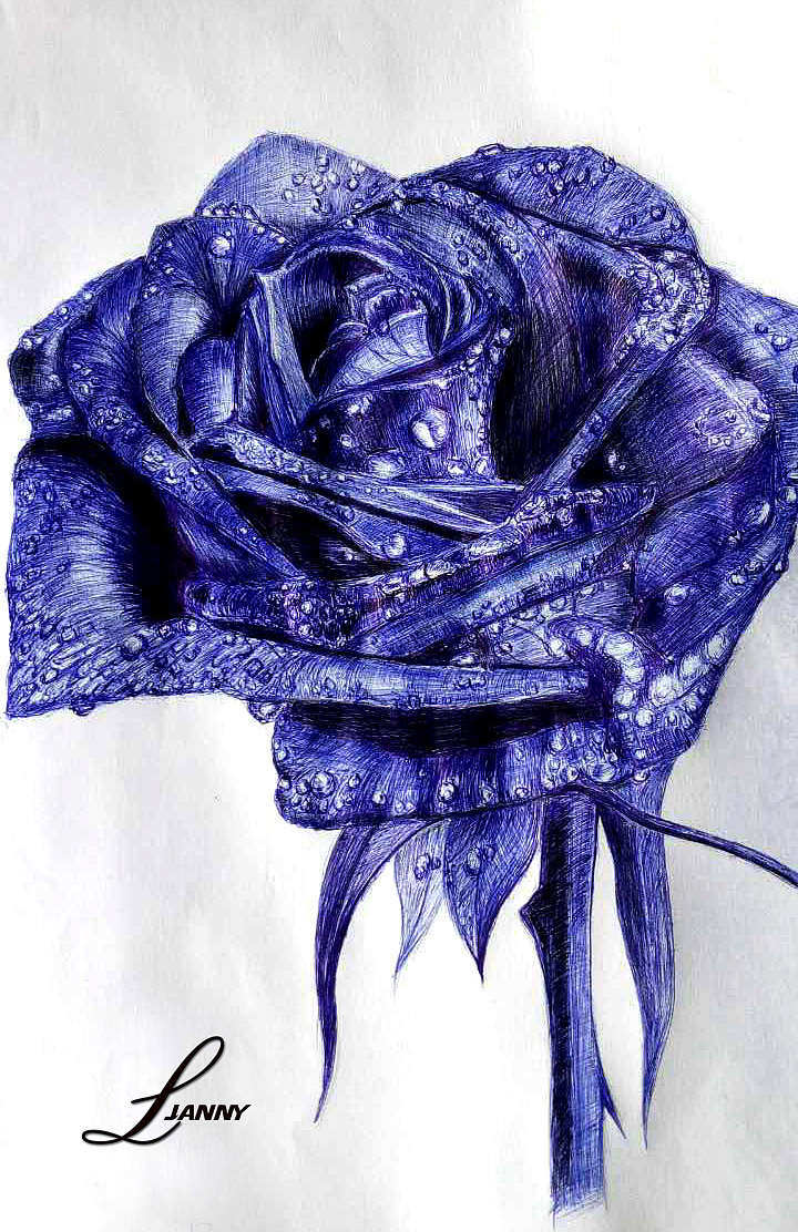 随写手绘-蓝色妖姬