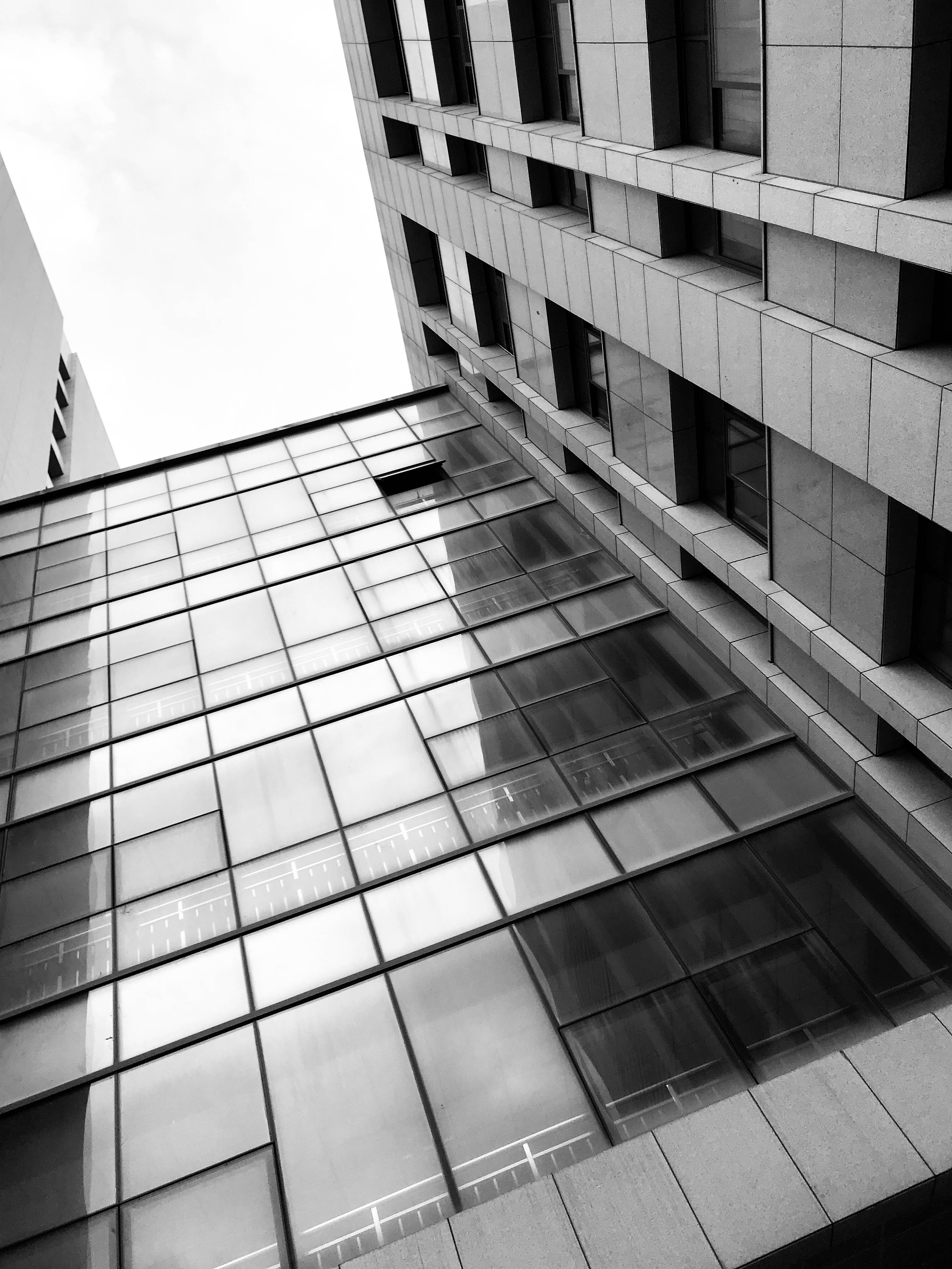 仰角|摄影|其他摄影|maisieliu - 原创作品 - 站酷 (zcool)