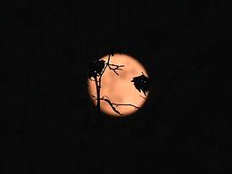 月亮与自然，即是宏观也是微观。