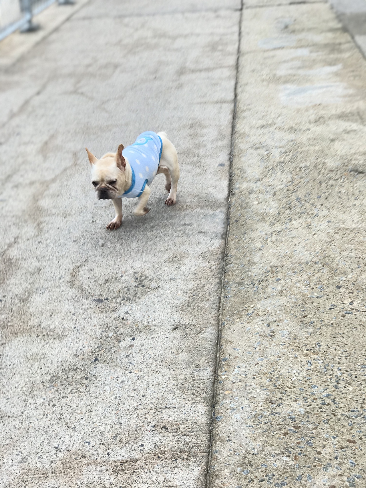 「長洲游記」（图ZMTA1NTEyOTM2） - 人文/纪实摄影 - 站酷设计师Onestepcloser原创素材 - 站酷ZCOOL