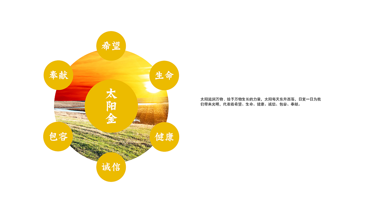 沁阳市中医院logo设计提案