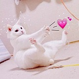 y小明儿的头像