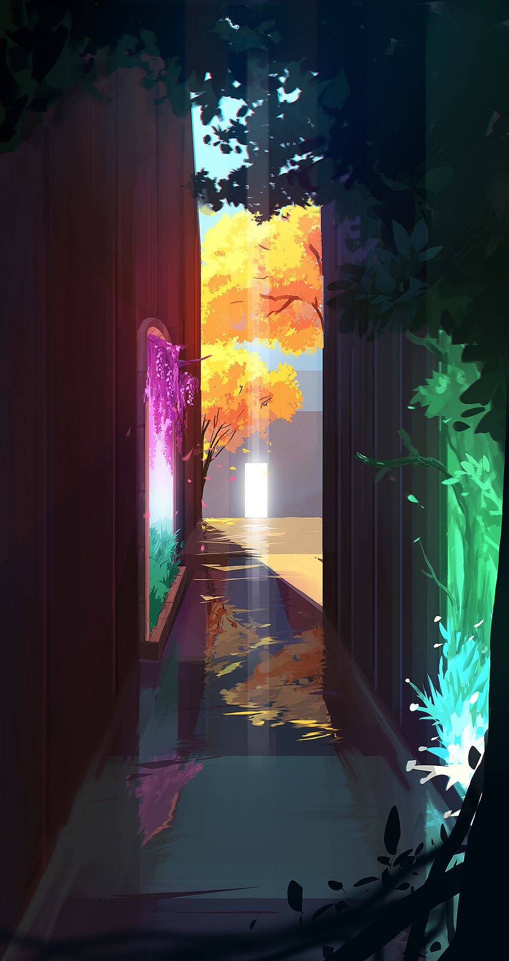 昨天的绘画视频