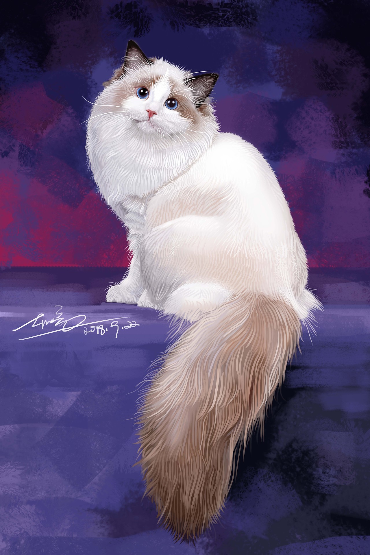 写实动物插画-布偶猫