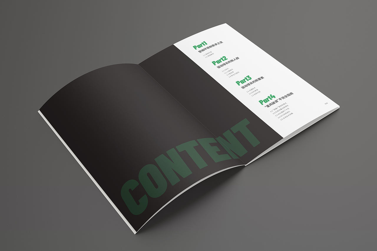 数据类画册（图ZMjEzODE0MTEy） - 书籍/画册 - 站酷设计师海豹工厂原创素材 - 站酷ZCOOL