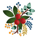似锦Si的头像