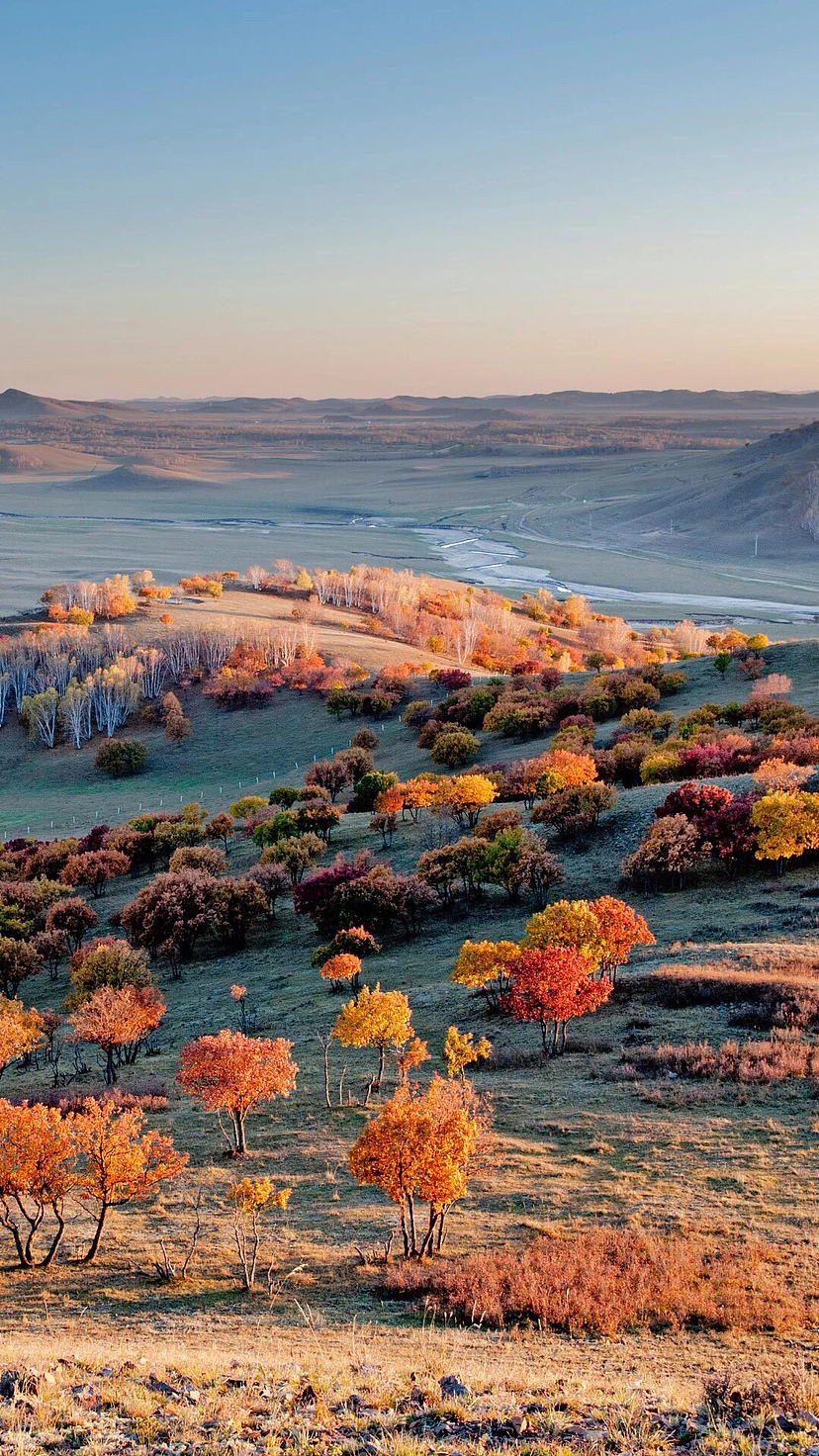 秋天_景致唯美-站酷zcool