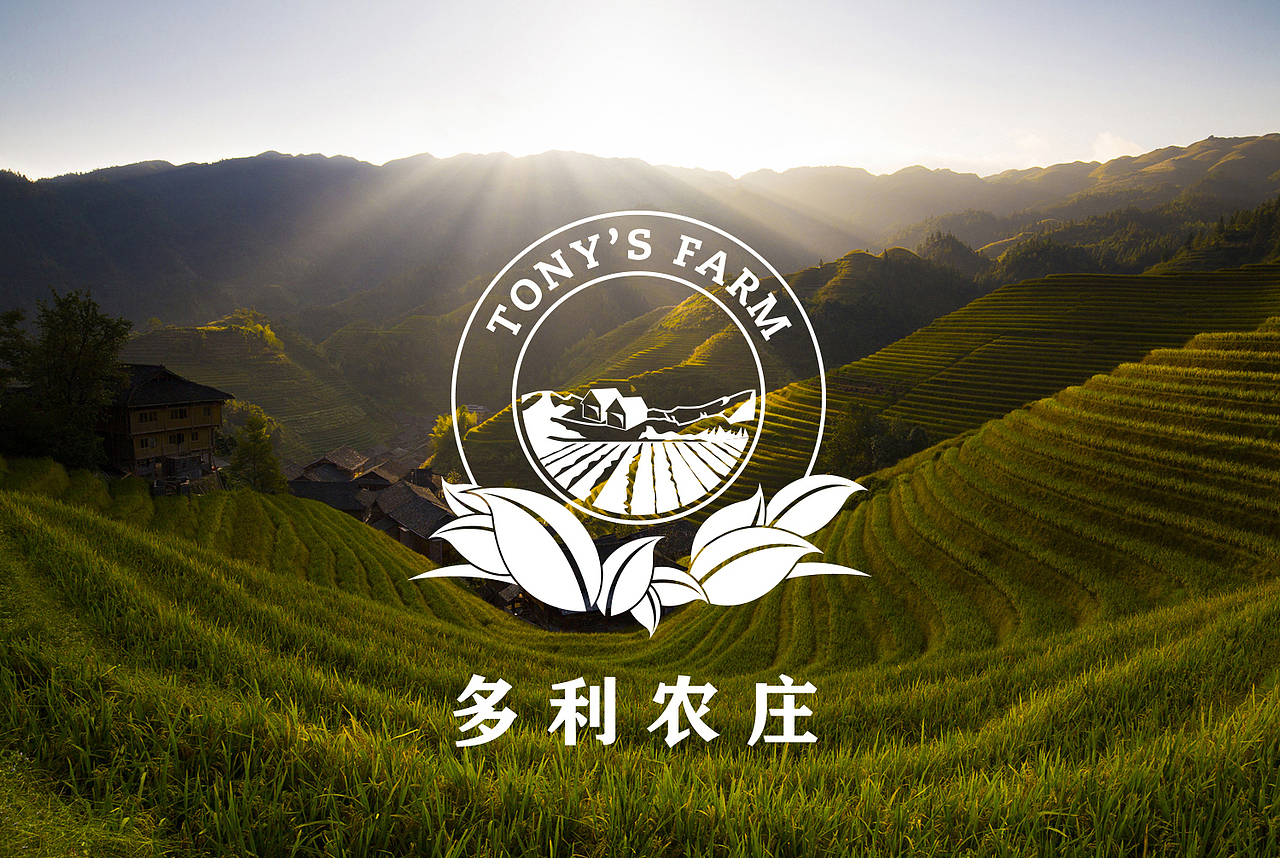 多利农庄 Tony's farm 品牌升级（图ZODU4OTE4MzI=） - 品牌 - 站酷设计师ReDesign2017原创素材 - 站酷ZCOOL