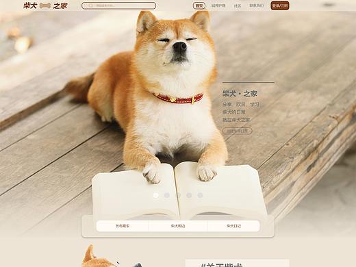 UI-web-柴犬之家
