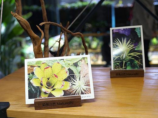 清筑自然 | 明信片 第一版（個人主頁-ZMzYzNjM5MDA=） - 宣傳物料 - 站酷設(shè)計(jì)師YAN_瑩兒原創(chuàng)素材 - 站酷ZCOOL