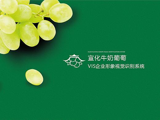 宣化牛奶葡萄VIS企业形象视觉识别系统