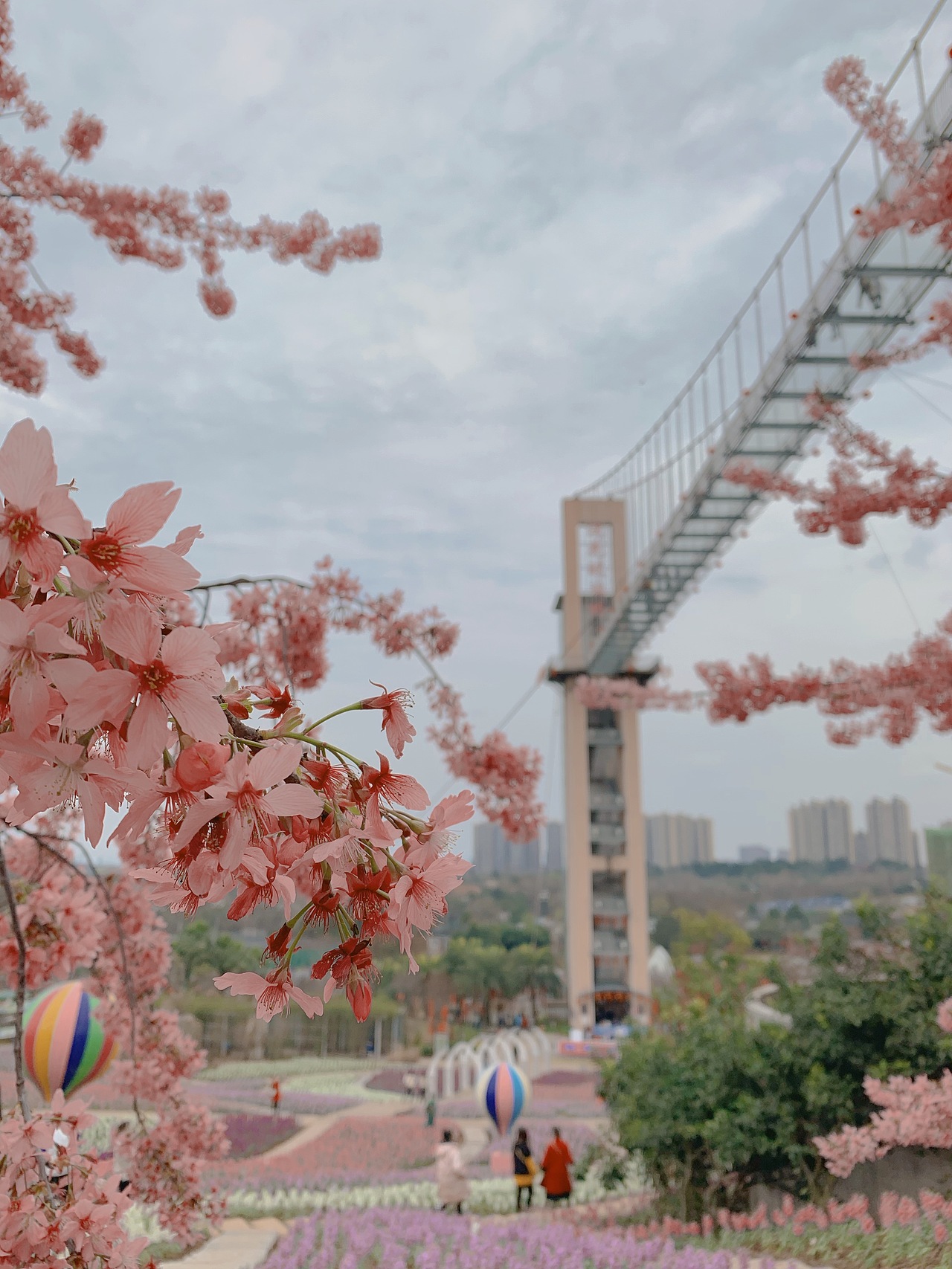 樱花盛开（图ZMjQzMjA3ODIw） - 人像摄影 - 站酷设计师Crystal11gao原创素材 - 站酷ZCOOL