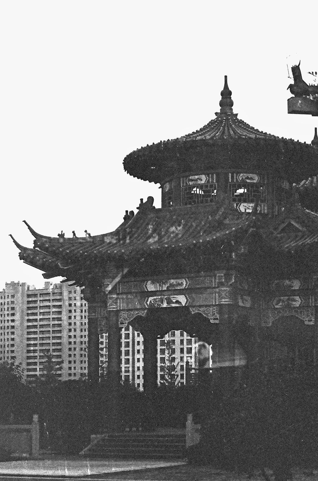胶片|福马400