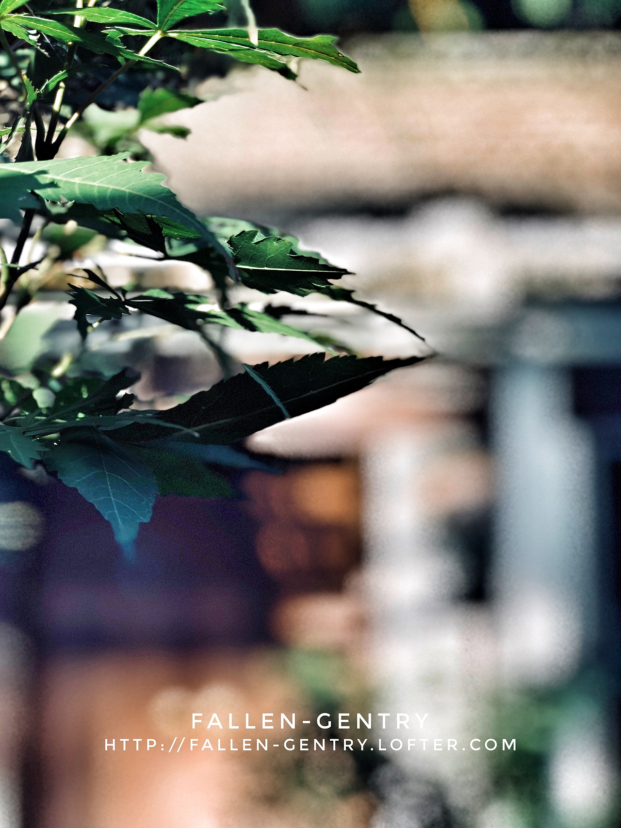 庭院（图ZMTI0MDc2MTU2） - 人文/纪实摄影 - 站酷设计师Fallen_Gentry原创素材 - 站酷ZCOOL