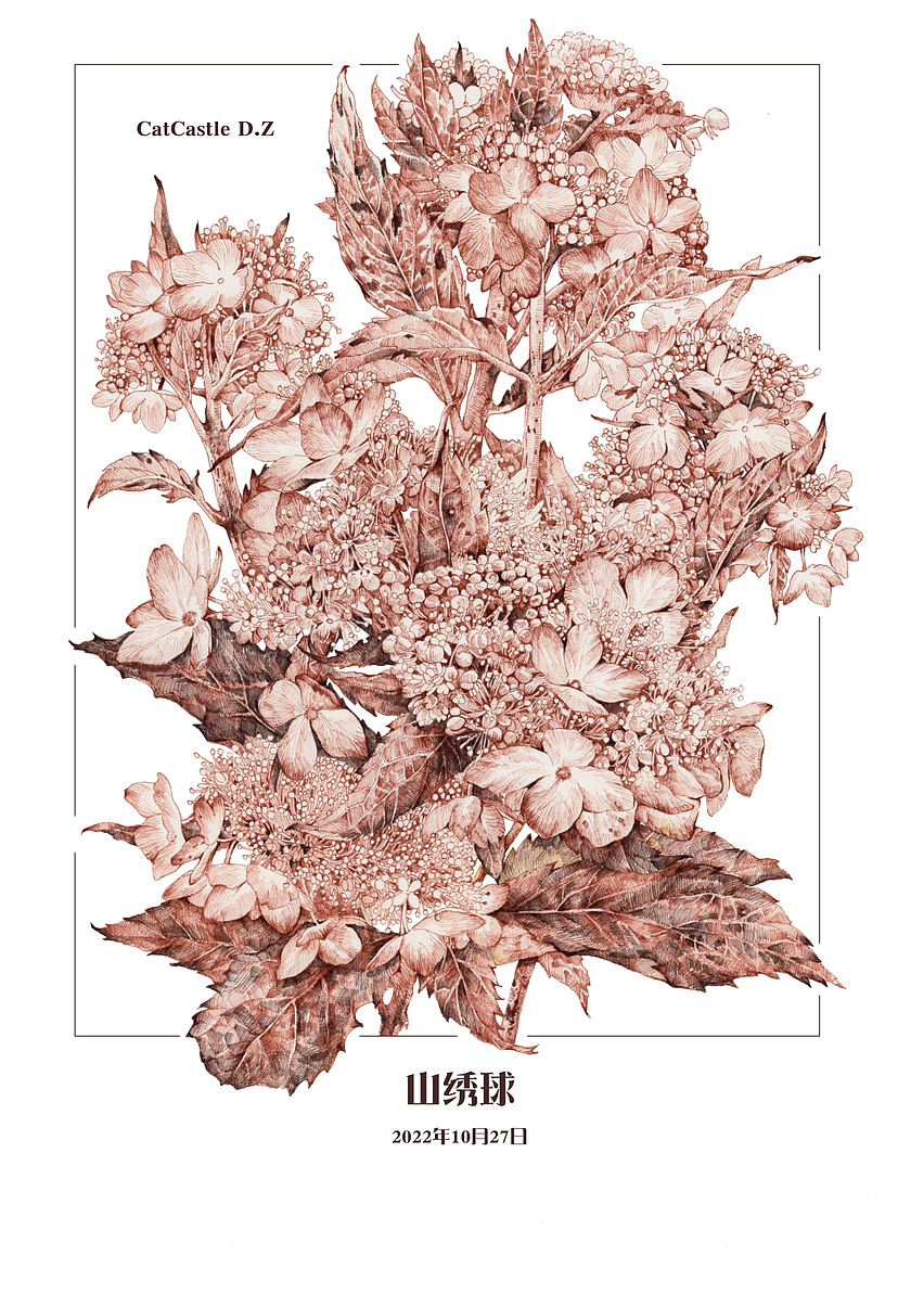 蘸水笔针管笔｜山绣球（图ZMzIwNDM4MzIw） - 艺术插画 - 站酷设计师CatCastleDZ原创素材 - 站酷ZCOOL