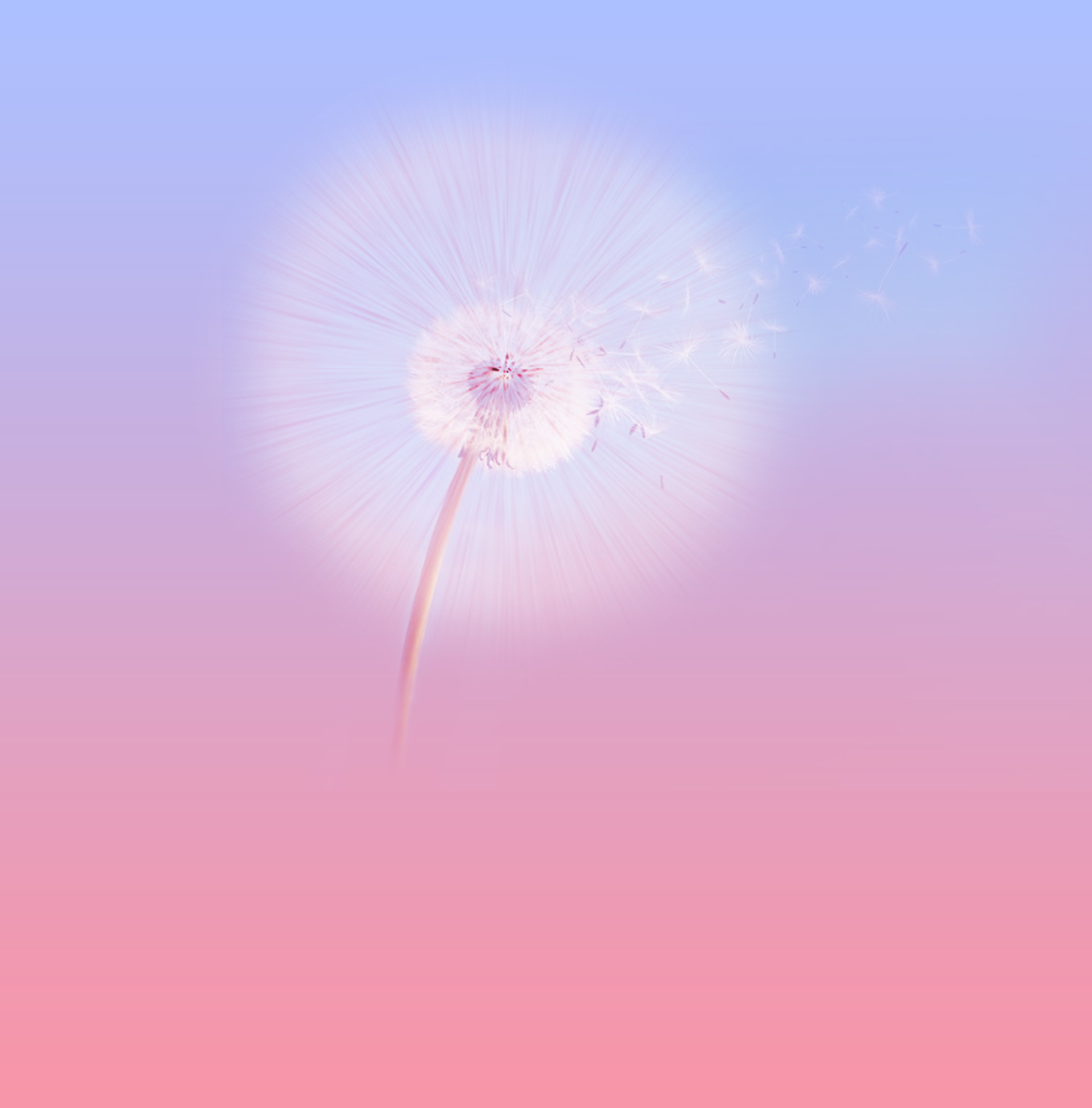 螺躍彡的個(gè)人主頁（封面預(yù)覽） - 主頁封面設(shè)置 - 站酷設(shè)計(jì)師螺躍彡原創(chuàng)素材 - 站酷ZCOOL