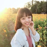 婉先生的头像
