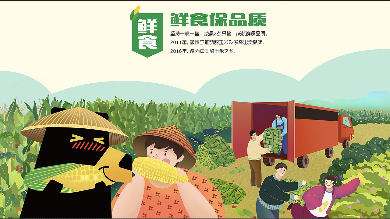 区域品牌插画:《横县甜玉米》IP及品牌长图