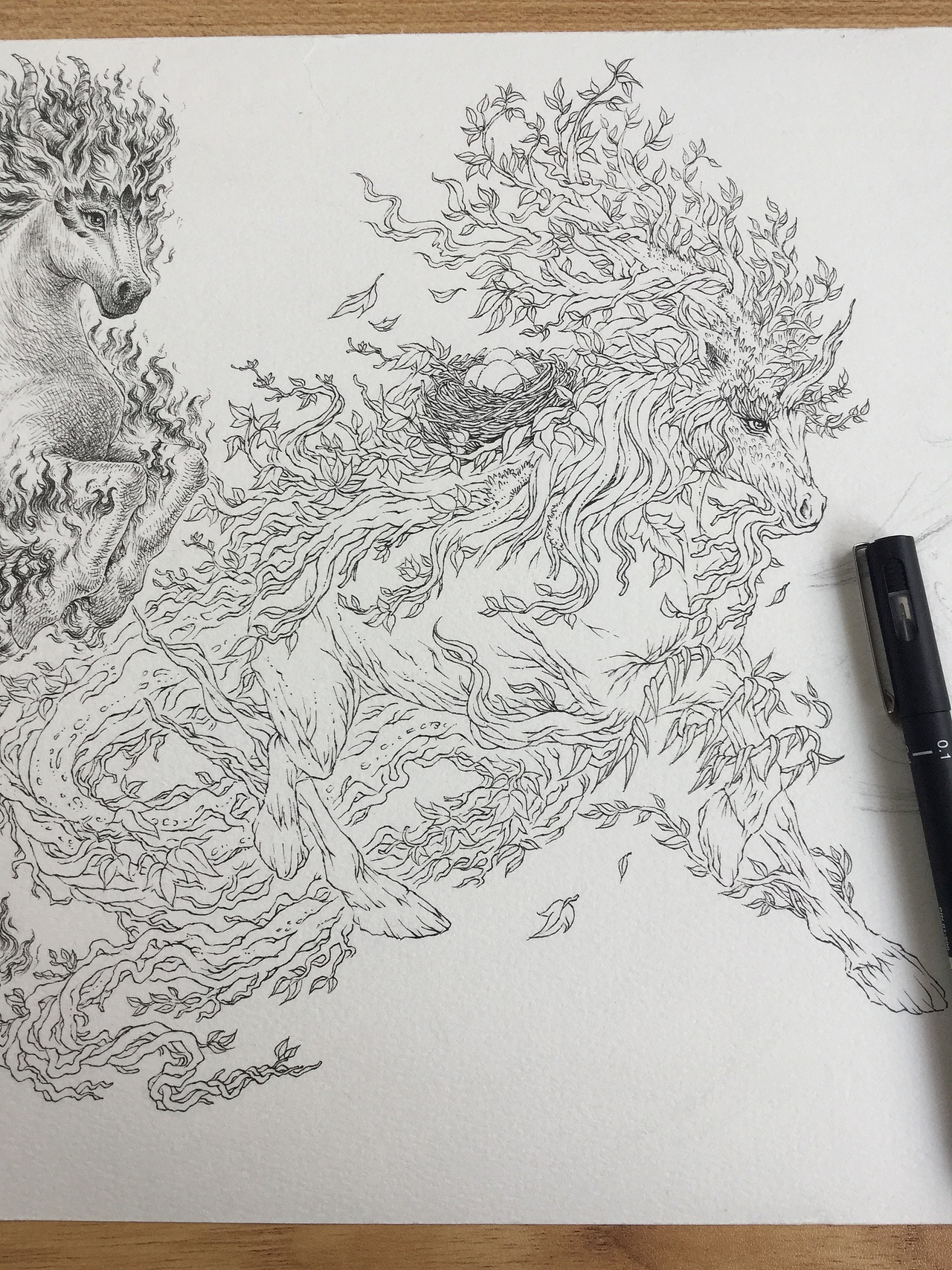 《天马行空图》傅淳强手绘作品