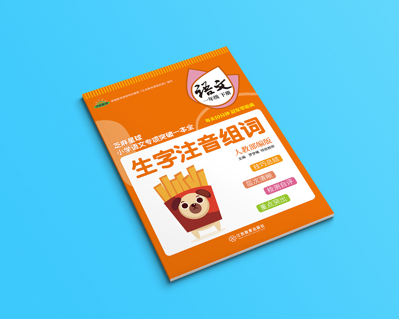 教辅书籍封面 小学专项训练一本全