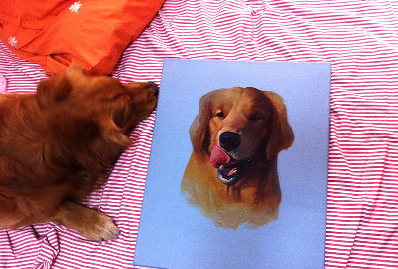 Golden Retriever（图ZNjg2ODAyOA==） - 艺术插画 - 站酷设计师winhooo原创素材 - 站酷ZCOOL