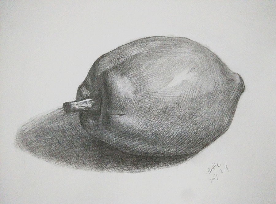 素描手绘-静物习作